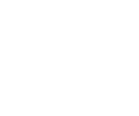 Alusolution